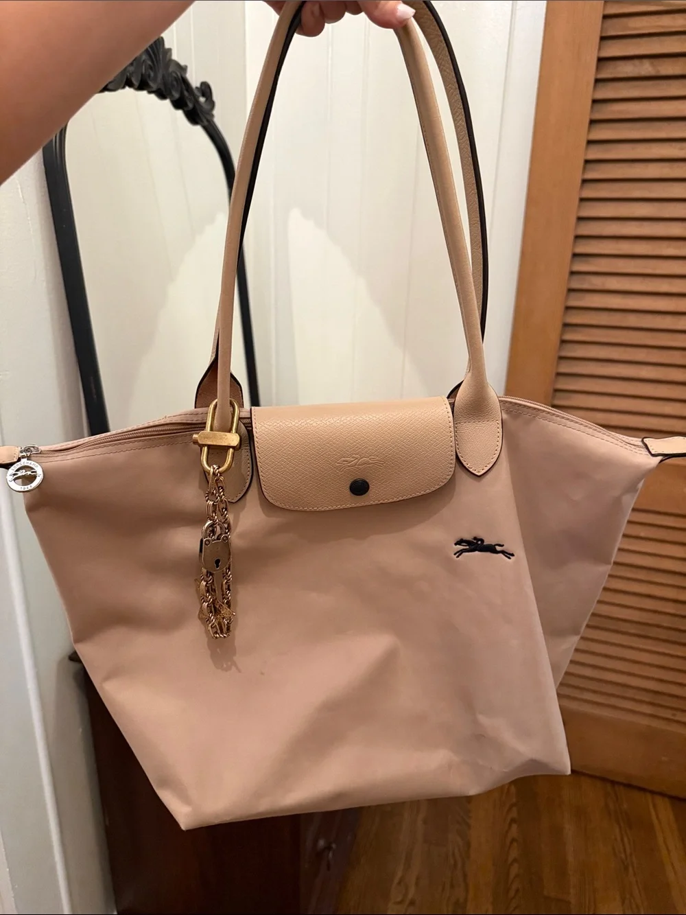 Longchamp Blush Pink Le Pliage Tote